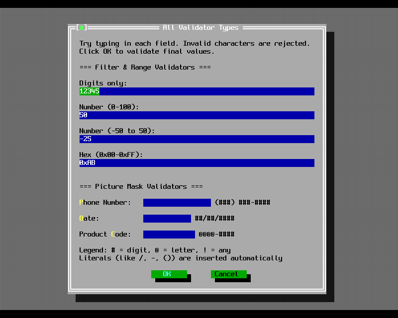 A dialog of validated input fields: digits only, numeric ranges and picture masks