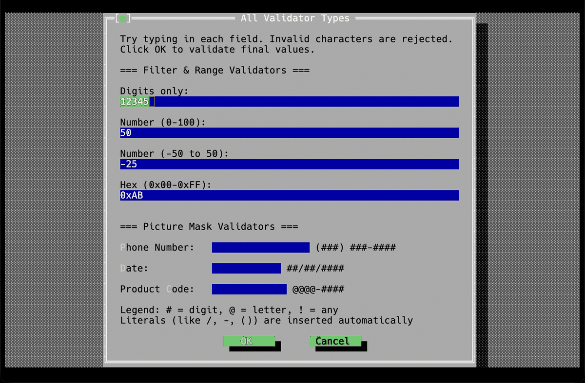A dialog of validated input fields: digits only, numeric ranges and picture masks